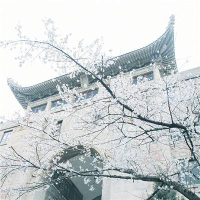 北京市人社局提示：北京暂未开放个人申领第三代社保卡